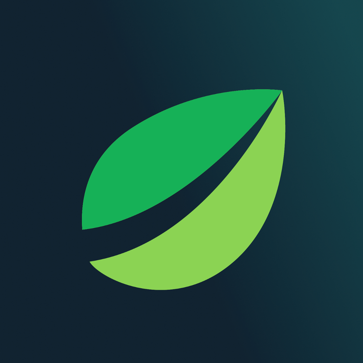 Биржа Bitfinex