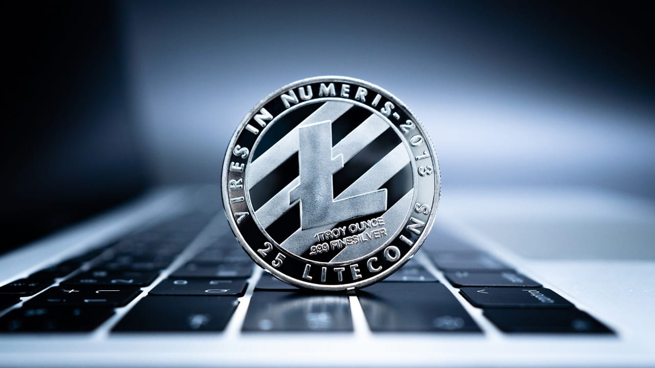 Что лучше у Лайткойна Native SegWit или Legacy?